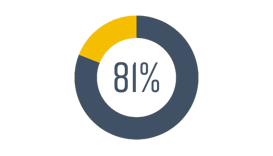 Pie chart visual with blue and yellow showing 81%